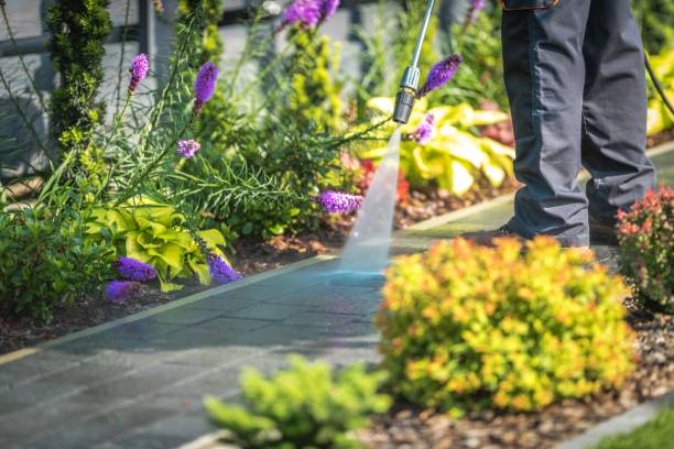 Best Pre-Holiday Cleaning  in Elkridge, MD