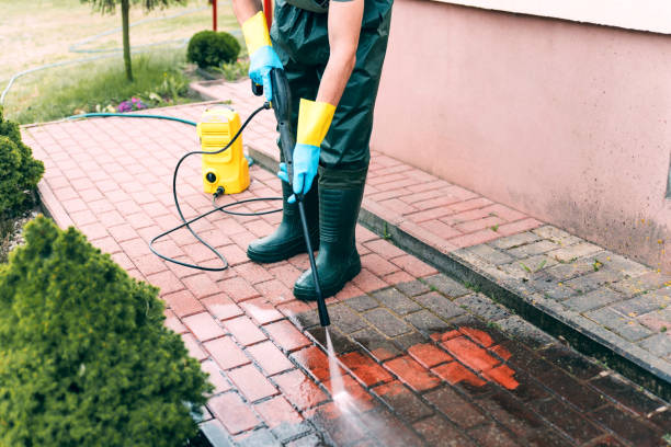 Best House Exterior Washing  in Elkridge, MD